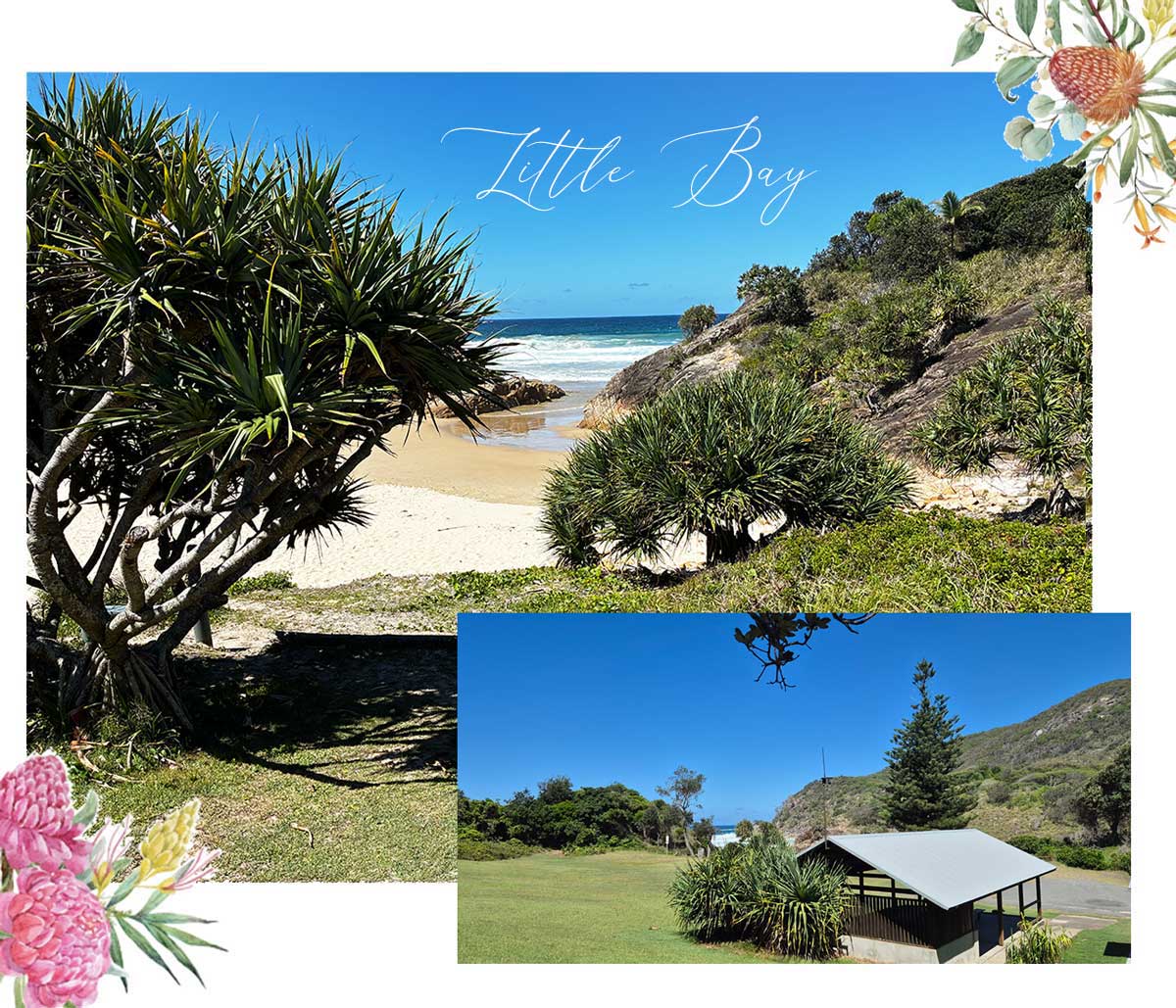 https://suzannewaldroncivilcelebrant.com.au/wp-content/uploads/2026/03/little-bay-wedding-locations.jpg