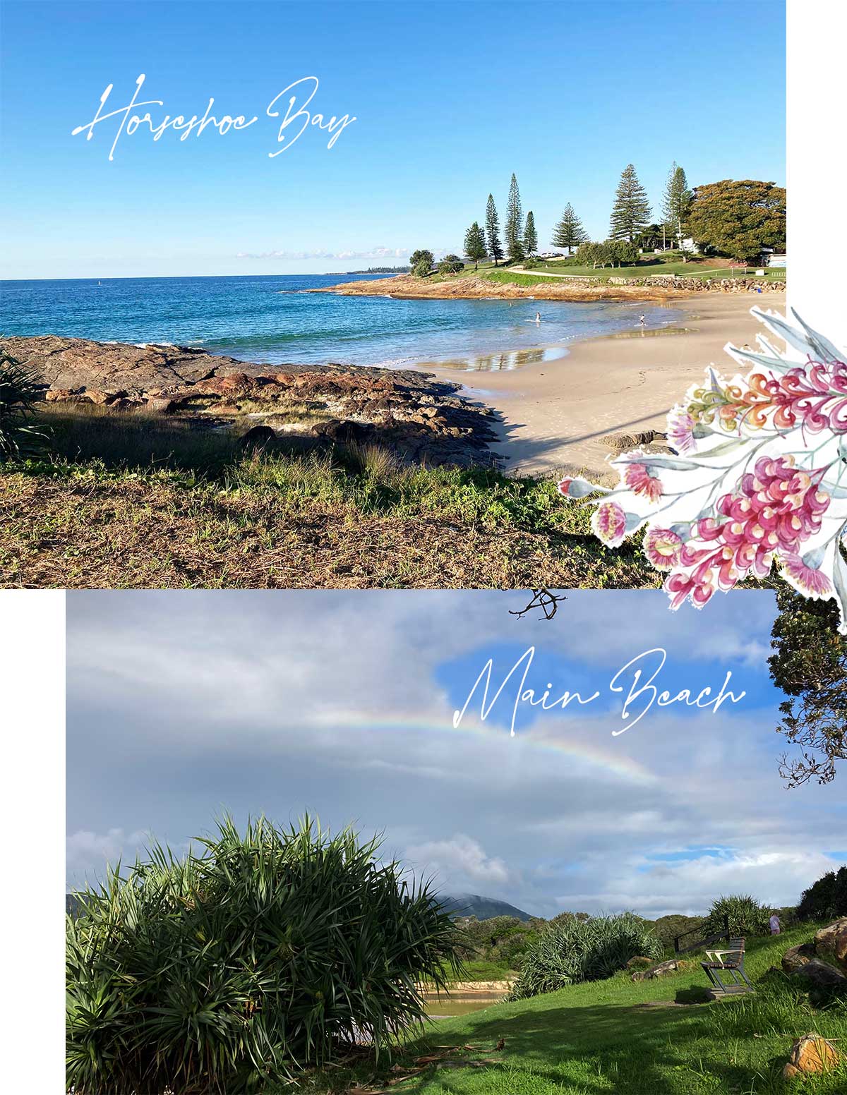 https://suzannewaldroncivilcelebrant.com.au/wp-content/uploads/2026/03/main-beach-headland-horshoe-bay.jpg