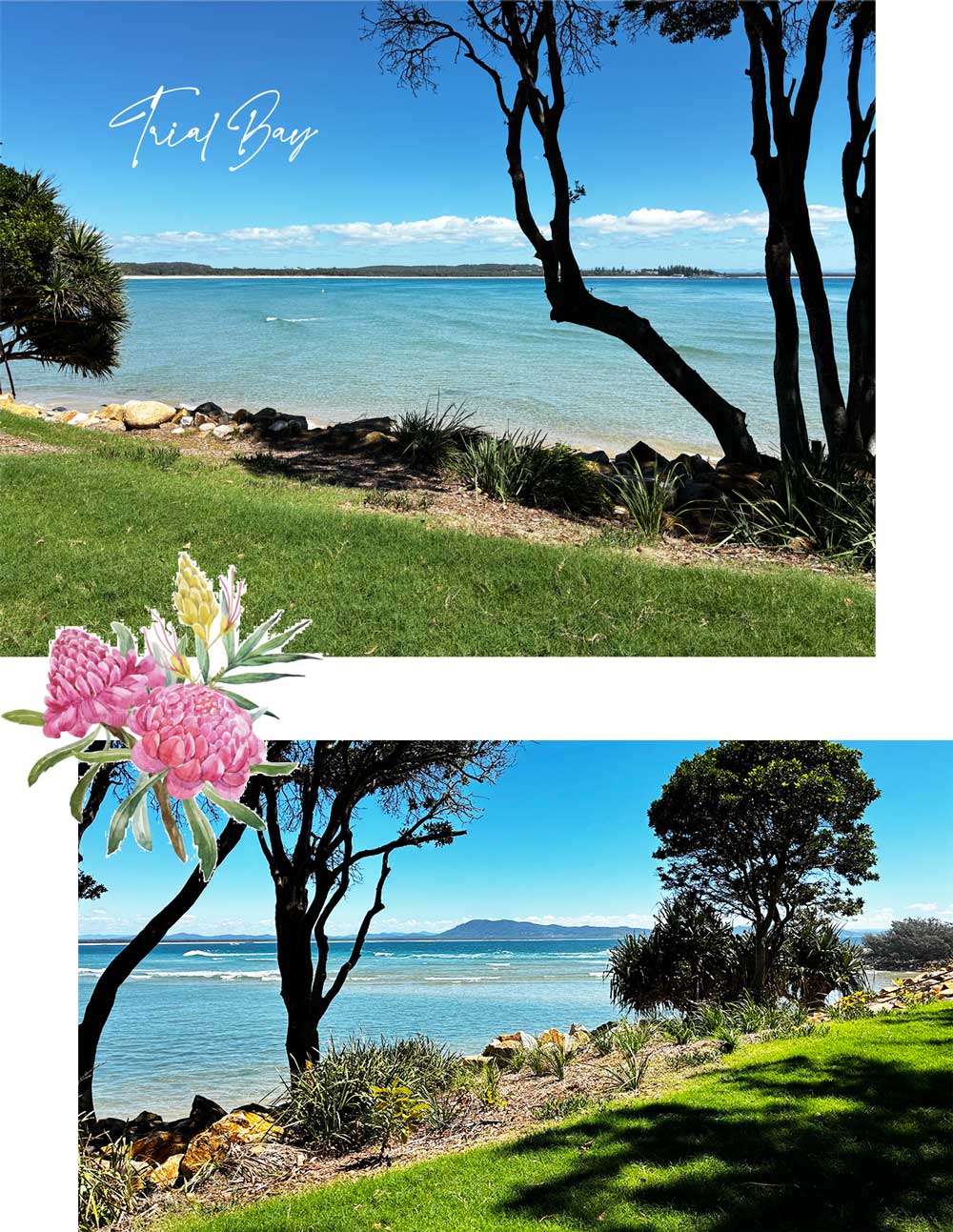 https://suzannewaldroncivilcelebrant.com.au/wp-content/uploads/2026/03/trial-bay-weddings-suzanne-waldren.jpg